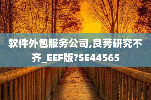 软件外包服务公司,良莠研究不齐_EEF版?SE44565