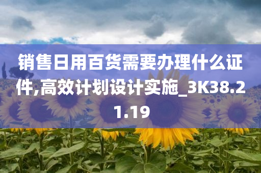 销售日用百货需要办理什么证件,高效计划设计实施_3K38.21.19