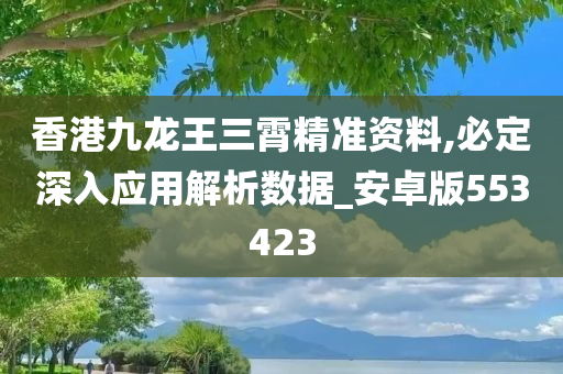 香港九龙王三霄精准资料,必定深入应用解析数据_安卓版553423