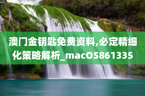 澳门金钥匙免费资料,必定精细化策略解析_macOS861335