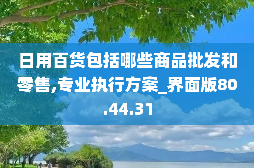 日用百货包括哪些商品批发和零售,专业执行方案_界面版80.44.31