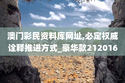 澳门彩民资料库网址,必定权威诠释推进方式_豪华款212016