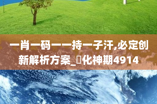 一肖一码一一持一子汗,必定创新解析方案_‌化神期4914