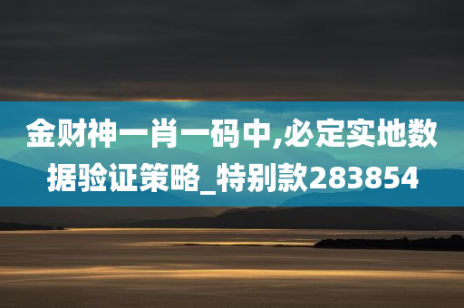 金财神一肖一码中,必定实地数据验证策略_特别款283854