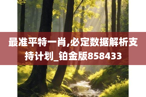 最准平特一肖,必定数据解析支持计划_铂金版858433