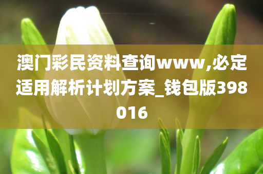 澳门彩民资料查询www,必定适用解析计划方案_钱包版398016