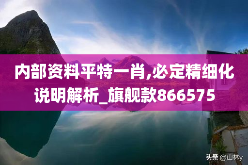 内部资料平特一肖,必定精细化说明解析_旗舰款866575