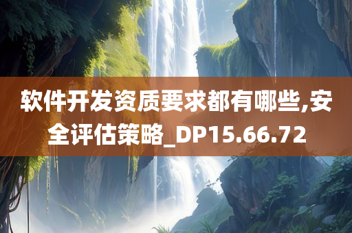 软件开发资质要求都有哪些,安全评估策略_DP15.66.72