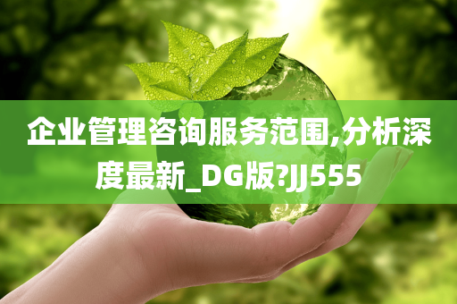 企业管理咨询服务范围,分析深度最新_DG版?JJ555