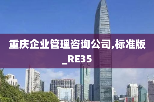 重庆企业管理咨询公司,标准版_RE35