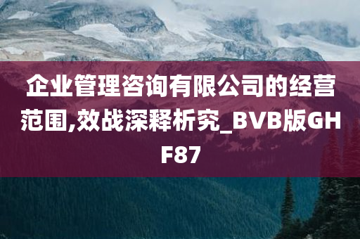 企业管理咨询有限公司的经营范围,效战深释析究_BVB版GHF87