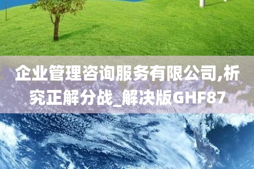 企业管理咨询服务有限公司,析究正解分战_解决版GHF87