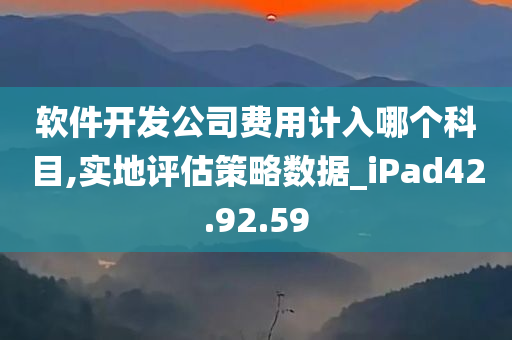 软件开发公司费用计入哪个科目,实地评估策略数据_iPad42.92.59