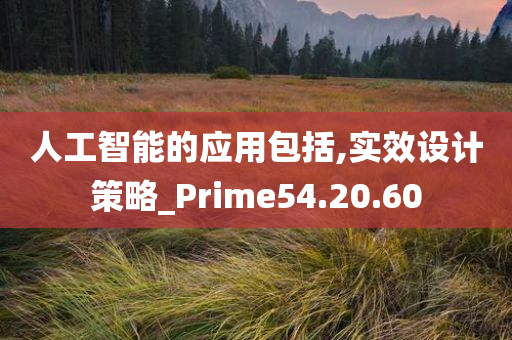 人工智能的应用包括,实效设计策略_Prime54.20.60