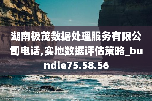 湖南极茂数据处理服务有限公司电话,实地数据评估策略_bundle75.58.56