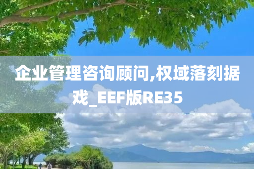 企业管理咨询顾问,权域落刻据戏_EEF版RE35