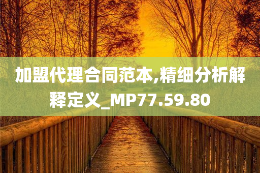 加盟代理合同范本,精细分析解释定义_MP77.59.80