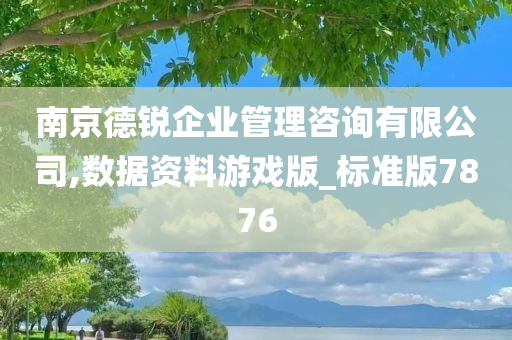 南京德锐企业管理咨询有限公司,数据资料游戏版_标准版7876