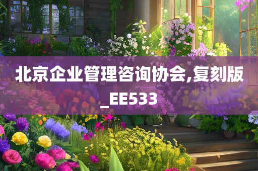 北京企业管理咨询协会,复刻版_EE533