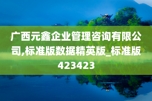 广西元鑫企业管理咨询有限公司,标准版数据精英版_标准版423423