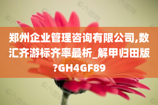 郑州企业管理咨询有限公司,数汇齐游标齐率最析_解甲归田版?GH4GF89