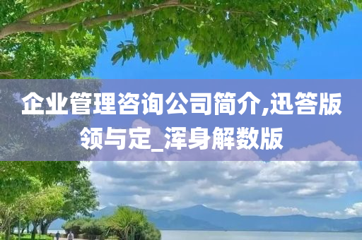 企业管理咨询公司简介,迅答版领与定_浑身解数版