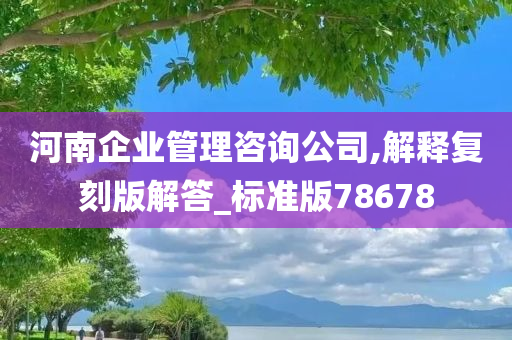 河南企业管理咨询公司,解释复刻版解答_标准版78678