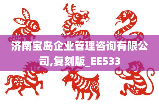 济南宝岛企业管理咨询有限公司,复刻版_EE533