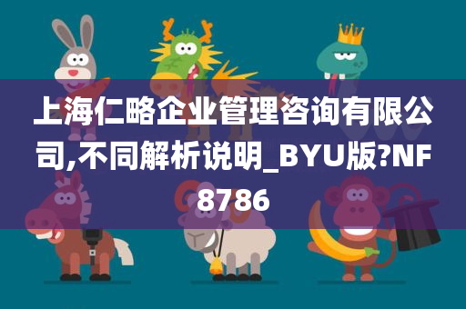 上海仁略企业管理咨询有限公司,不同解析说明_BYU版?NF8786