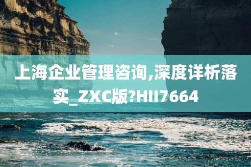 上海企业管理咨询,深度详析落实_ZXC版?HII7664