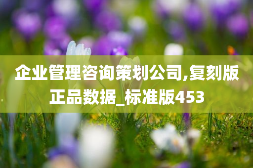 企业管理咨询策划公司,复刻版正品数据_标准版453