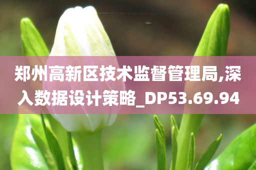 郑州高新区技术监督管理局,深入数据设计策略_DP53.69.94