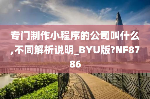 专门制作小程序的公司叫什么,不同解析说明_BYU版?NF8786