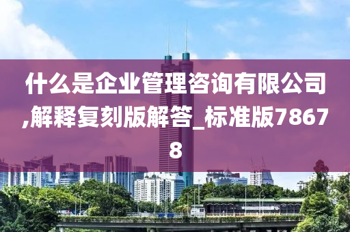 什么是企业管理咨询有限公司,解释复刻版解答_标准版78678