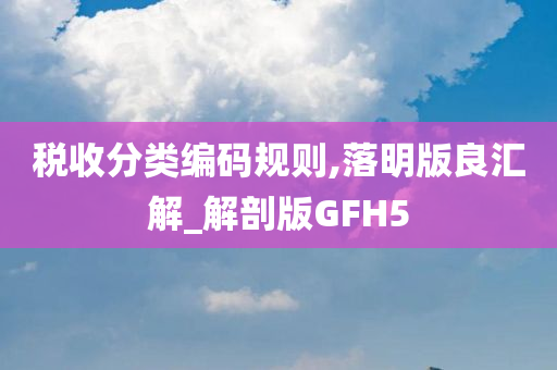 税收分类编码规则,落明版良汇解_解剖版GFH5