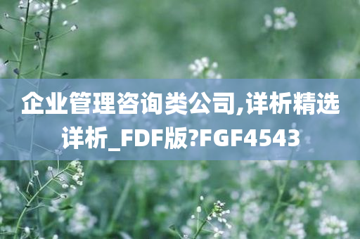 企业管理咨询类公司,详析精选详析_FDF版?FGF4543