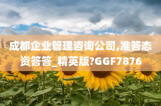 成都企业管理咨询公司,准答态资答答_精英版?GGF7876