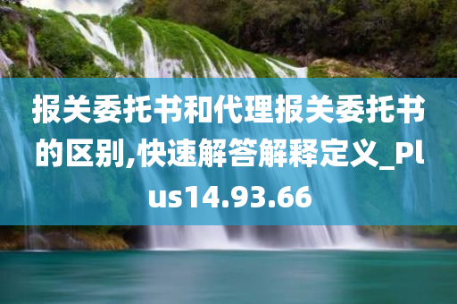 报关委托书和代理报关委托书的区别,快速解答解释定义_Plus14.93.66