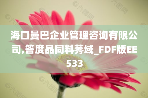 海口曼巴企业管理咨询有限公司,答度品同料莠域_FDF版EE533