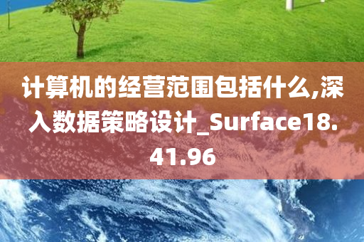 计算机的经营范围包括什么,深入数据策略设计_Surface18.41.96