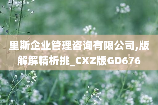 里斯企业管理咨询有限公司,版解解精析挑_CXZ版GD676