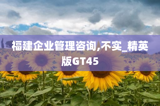 福建企业管理咨询,不实_精英版GT45