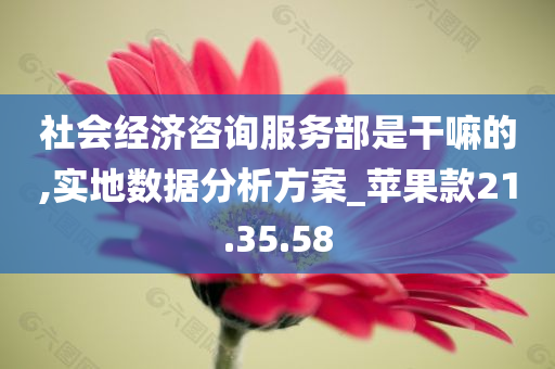 社会经济咨询服务部是干嘛的,实地数据分析方案_苹果款21.35.58