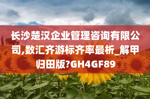 长沙楚汉企业管理咨询有限公司,数汇齐游标齐率最析_解甲归田版?GH4GF89