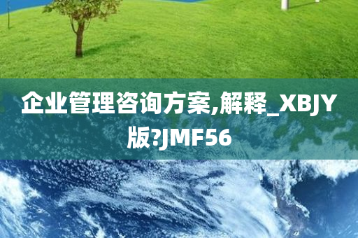 企业管理咨询方案,解释_XBJY版?JMF56