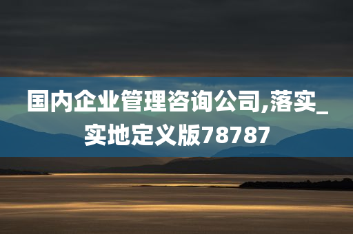 国内企业管理咨询公司,落实_实地定义版78787