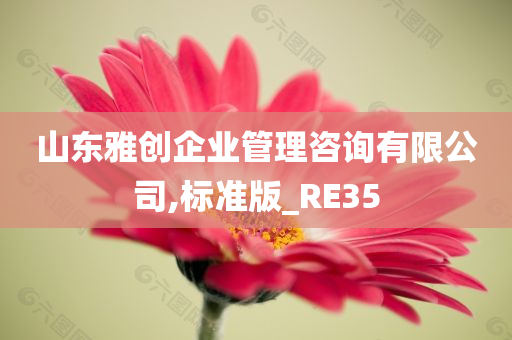 山东雅创企业管理咨询有限公司,标准版_RE35