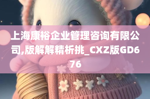 上海康裕企业管理咨询有限公司,版解解精析挑_CXZ版GD676