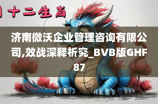 济南微沃企业管理咨询有限公司,效战深释析究_BVB版GHF87