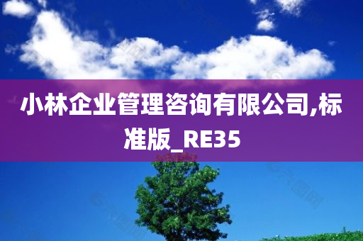 小林企业管理咨询有限公司,标准版_RE35